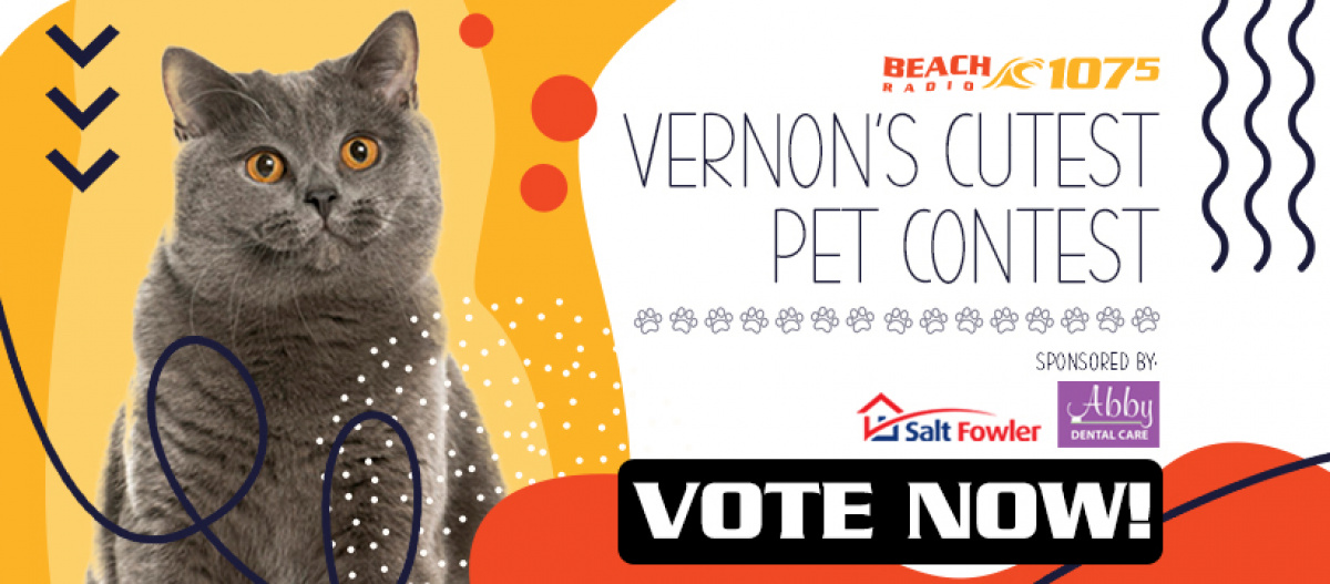 Vernon's Cutest Pet Contest